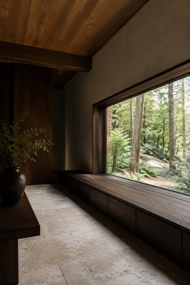 A window into the woods